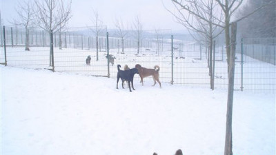 Feb.05-035.400x225-crop.jpg