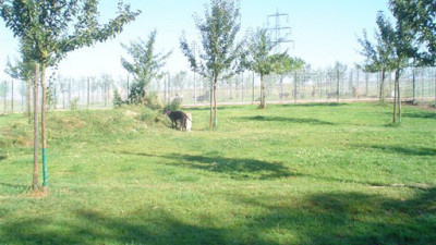 Sommerferien-023.400x225-crop.jpg